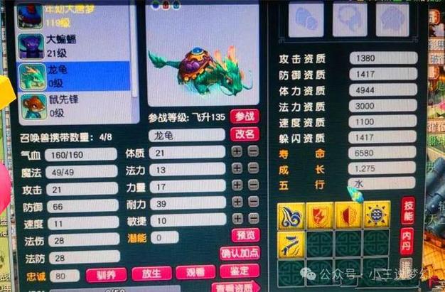 梦幻西游鸿运龙龟坐骑获取方法