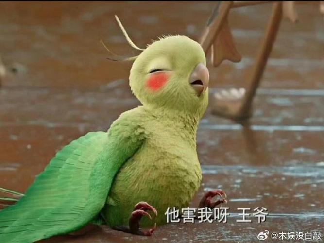 特工皇妃楚乔传知更鸟有什么用？特工皇妃楚乔传男主？