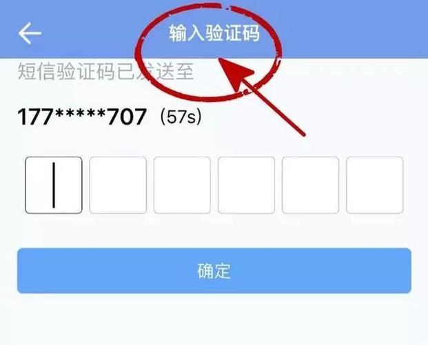 请使用app进行认证是什么意思