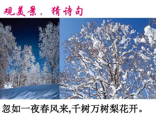 千树万树梨花开上一句是什么?