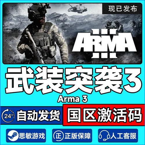 关于武装突袭3在Steam上的版本有什么区别