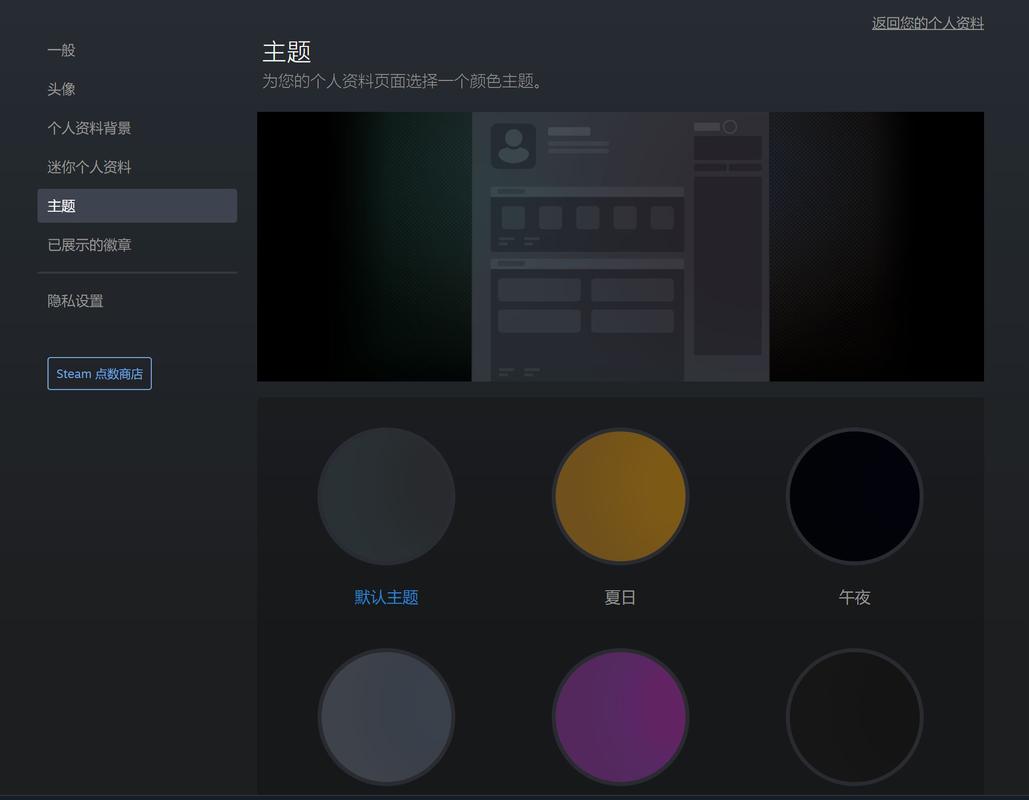 steam编辑个人资料进不去