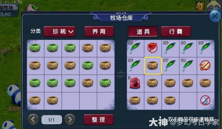 《梦幻西游》牧场饰品有哪些?