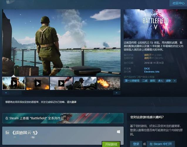 steam战地五叫什么