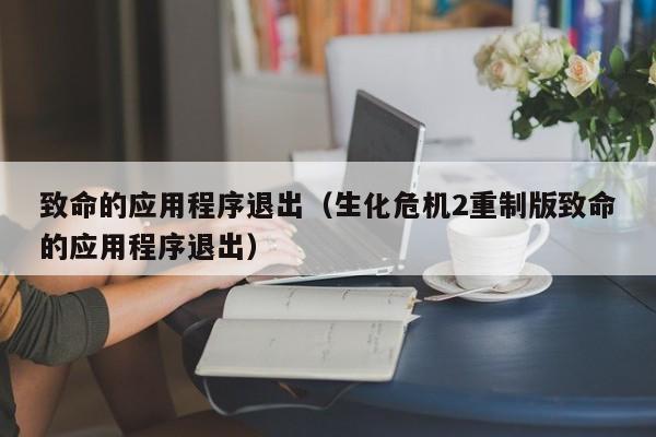 生化危机5无法运行,提示:致命的应用程序退出