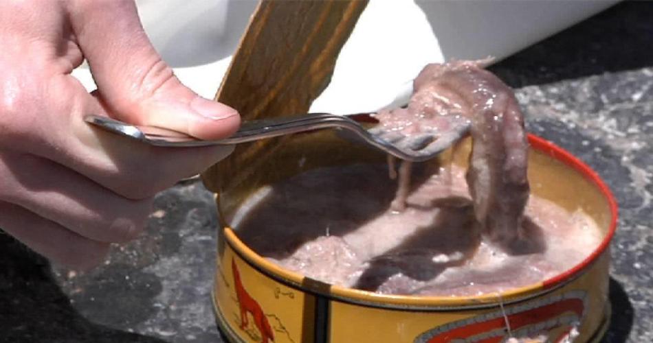 鲱鱼罐头的制作方法是什么?