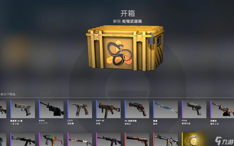 csgo哪个箱子好