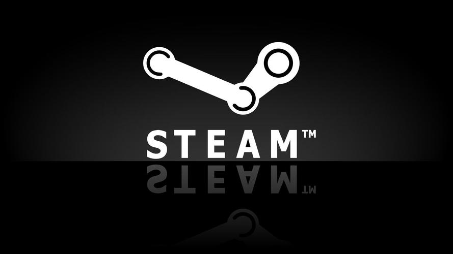 steam设置启动选项灰色的