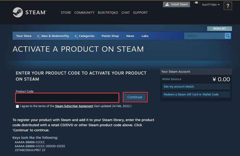 steam的产品代码在哪看