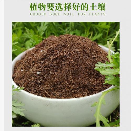 盆栽果树!盆土采用哪些自然土壤为宜?介绍2至3种果树盆栽的营养土...