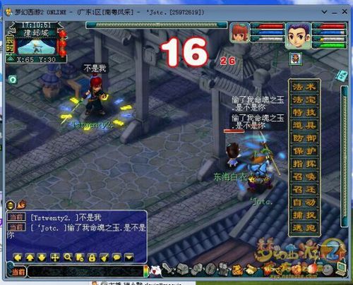 梦幻命魂流失什么意思