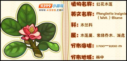 洛克王国黑化莉莉技能搭配？洛克王国黑化精灵？