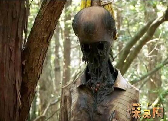 世界十大未解之谜,每个都非常恐怖,千万别去这些地方!