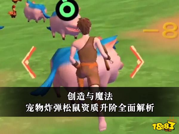 创造与魔法松鼠宠物技能怎么样炸弹松鼠宠物值得培养吗