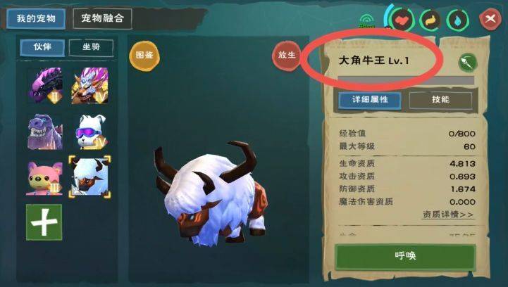 创造与魔法三十多级的宠物哪个最厉害
