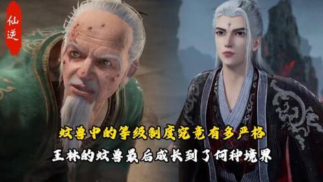 王林的修真等级