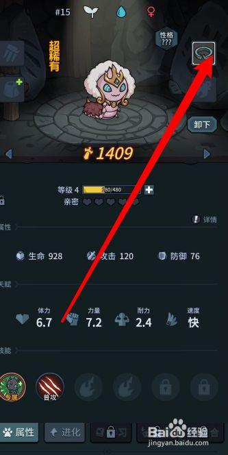 提灯与地下城大师3宠物装备配置建议