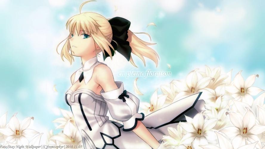 命运冠位指定Saber