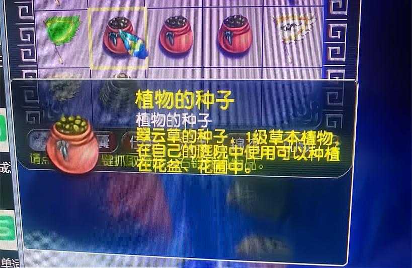 梦幻西游植物种子怎么种梦幻西游植物种子如何种