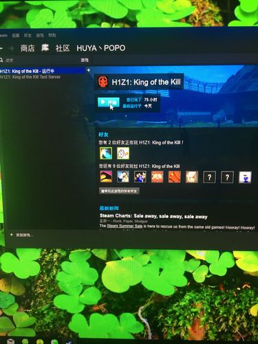 大神们帮我看看H1Z1这是什么情况,怎么解决?