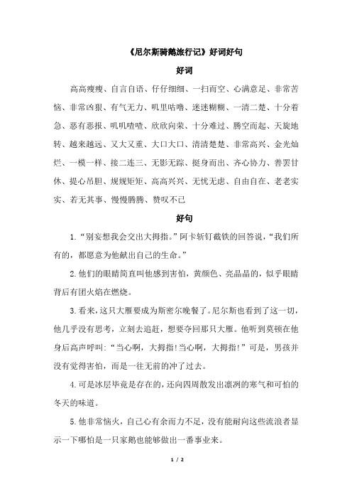 尼尔斯骑鹅旅行记的好词佳句