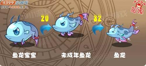 洛克王国鱼龙宝宝怎么抓视频