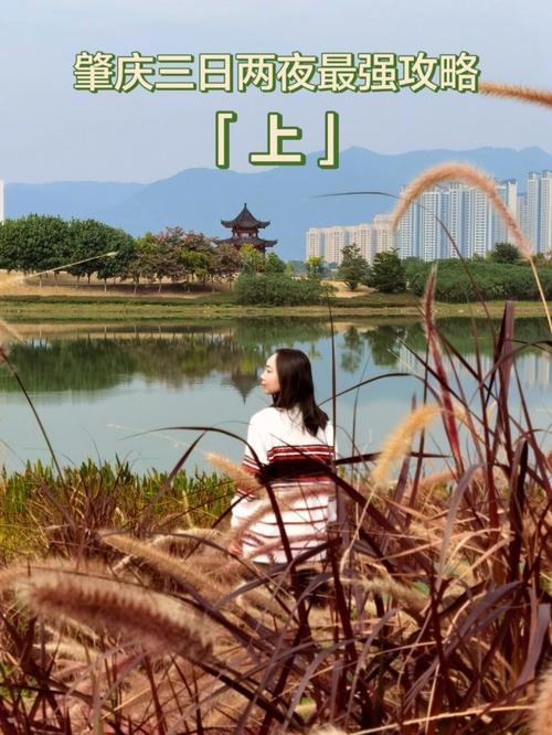 冬日计划一个人去肇庆散心,有什么实用攻略分享?