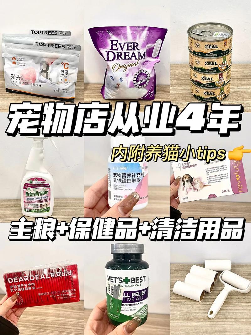 说说新手应该怎样开宠物店呢,分享一下?