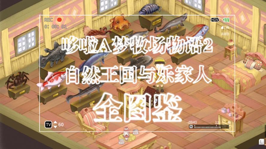 哆啦A梦牧场物语2前期攻略大全前期怎么玩