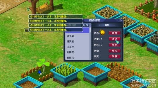 求梦幻西游庭院种树种花攻略