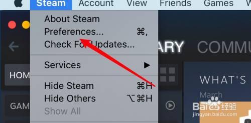苹果steam如何调成中文