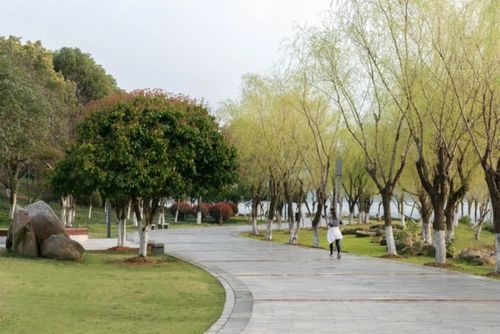 “五一”去哪里,来南湖赊月公园吧
