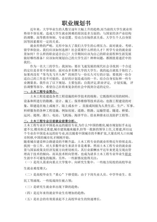 土木工程生职业涯规划书