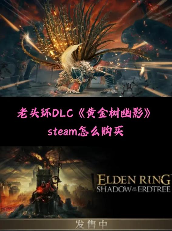 STEAM上买了的DLC要怎么安装