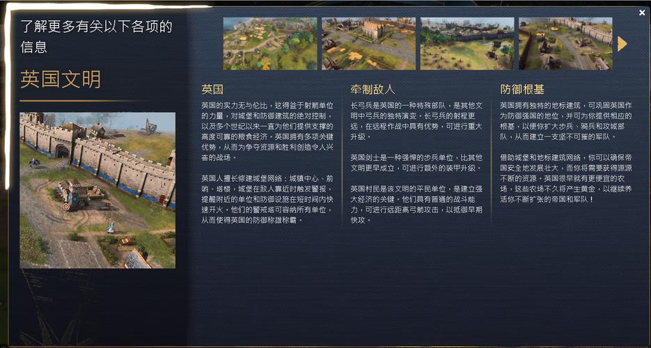 帝国时代4兼容性问题解决方案