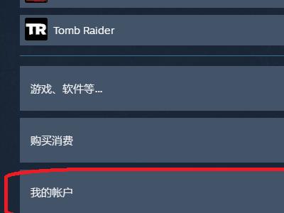 怎么查看自己的steam登陆记录