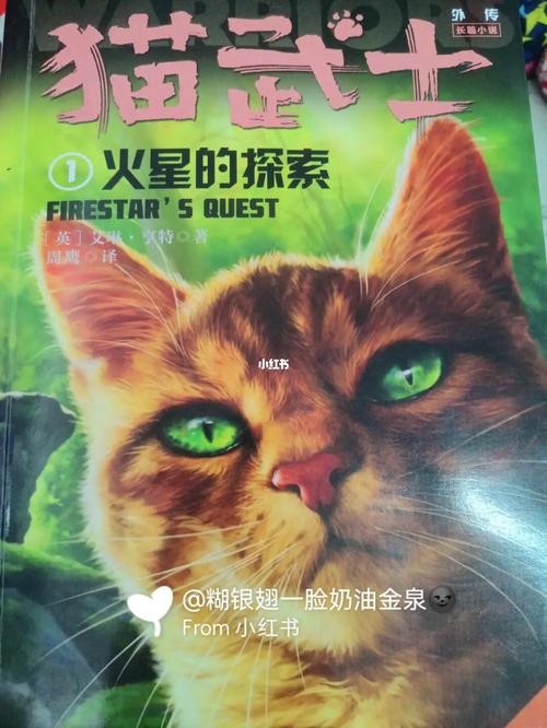 猫武士火星的探索第二章