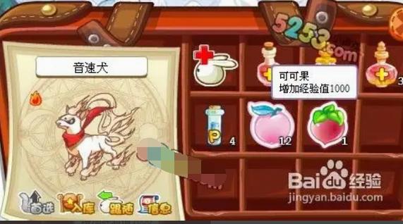 洛克王国怎么快速升级