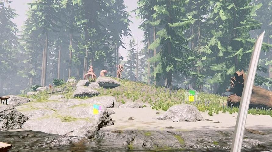 森林steam叫什么