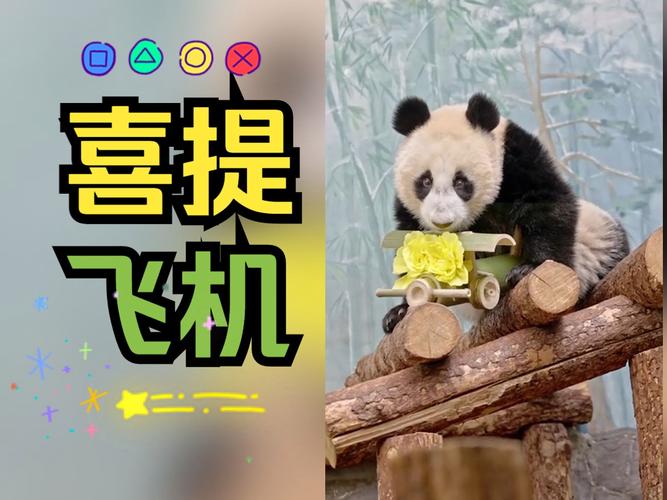 全民飞机大战熊猫镇长属性介绍？2020全民飞机大战最新版什么宠物搭配好？