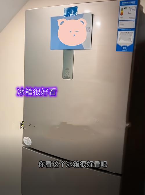 冰箱振动器坏了换一个多少钱啊?