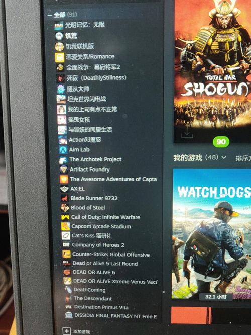 steam库，steam库里面有好多莫名其妙的游戏