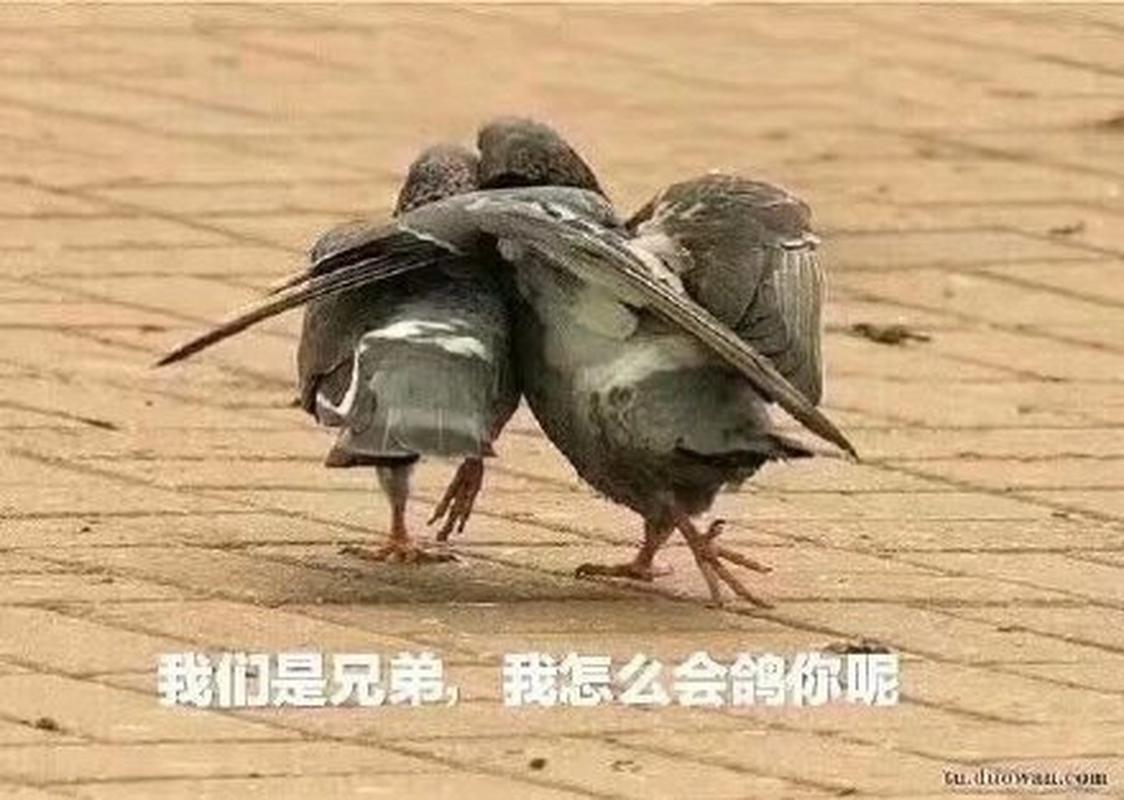 遇见逆水寒和逆水寒有什么区别，遇见逆水寒是不是逆水寒？
