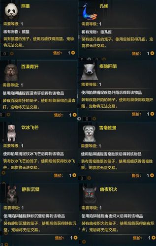 DNF崩坏的小飞宠物怎么得?这个时候
