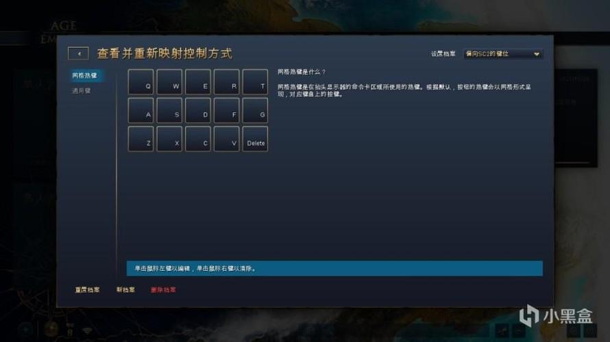 帝国时代2征服者如何输入秘籍