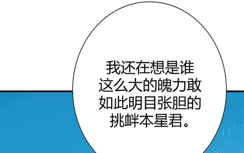 我的双修道侣的用语解说