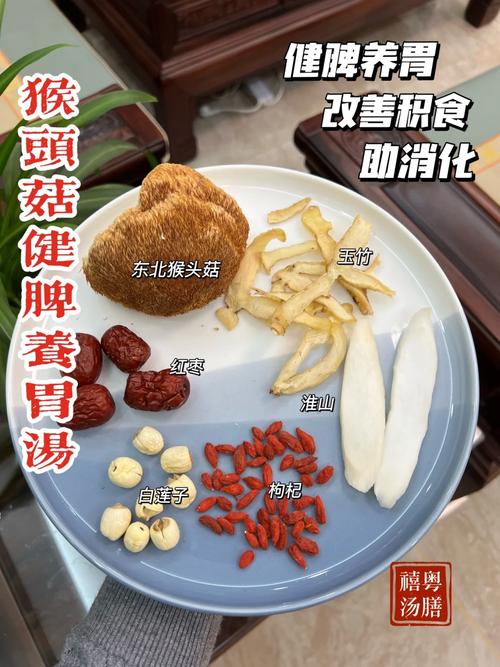 菇菇丁技能，蘑菇丁贴吧