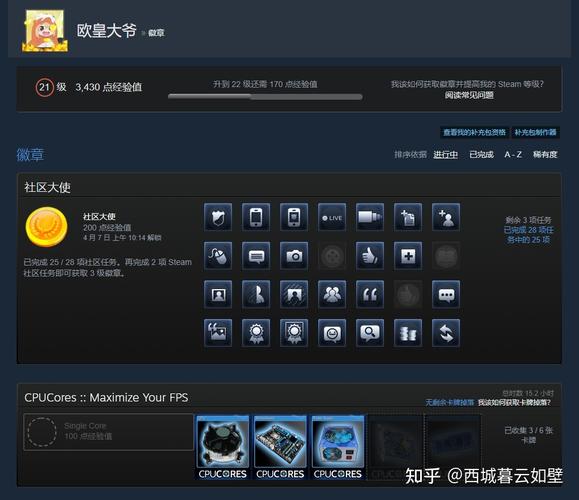 steam等级最高多少级
