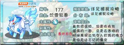 洛克王国是回合制游戏吗，洛克王国是啥类型游戏