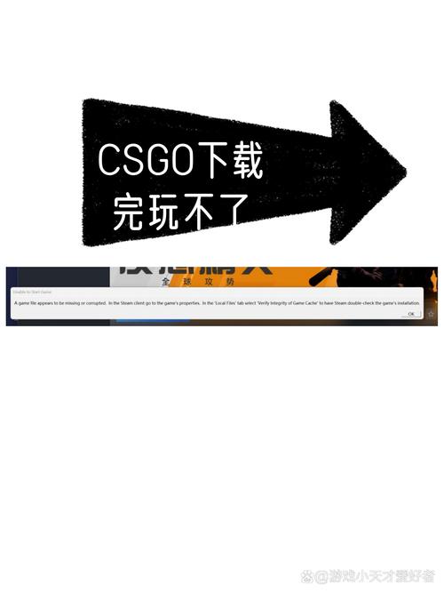 csgo运行游戏显示无法加载清单